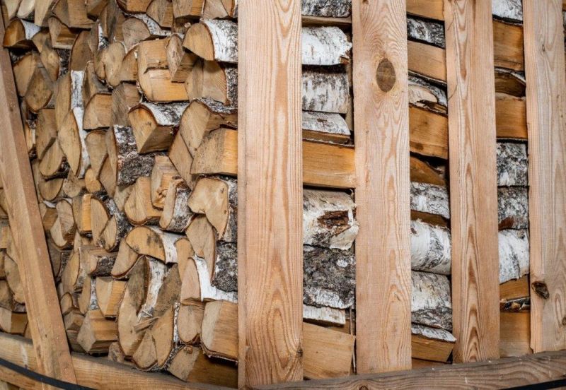 Birken-Brennholz 25 cm kammergetrocknet – 2 RM Palette (ca. 2,8 SRM, 835 kg)