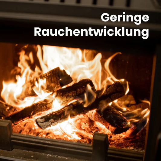 Buchen-Brennholz 25 cm kammergetrocknet – 1 RM / 1,6 SRM Palette (500 kg)